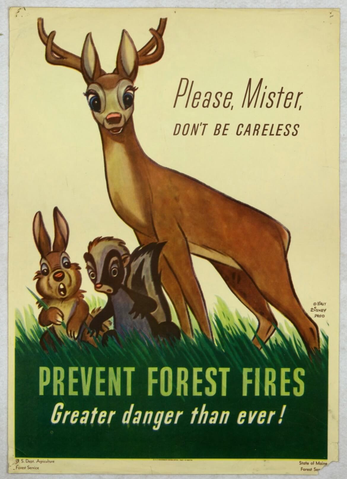Smokey the Bear Was Created to Replace Bambi